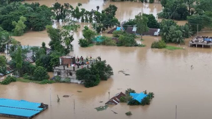 flood-67047399831b9