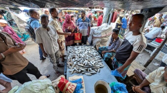 ilish2-4fb9762032a3cc2d6f0be88edbcab1c3